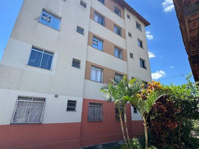 #204 - Apartamento para Venda em Belo Horizonte - MG